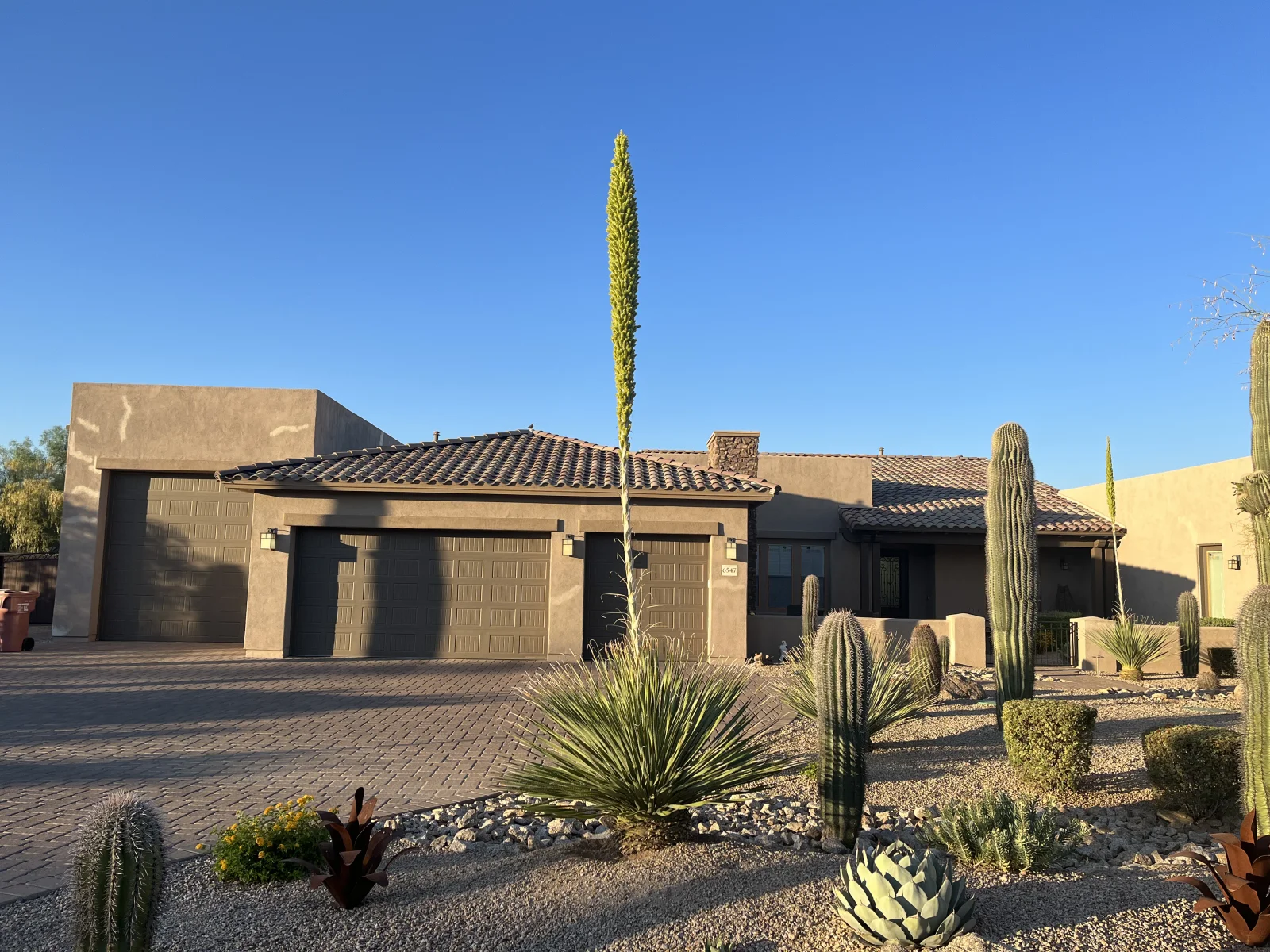 Before: Single-story stucco home with taupe exterior before exterior painting